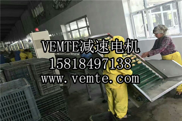 齒輪減速電機(jī) (74) 齒輪減速電機(jī) (74)