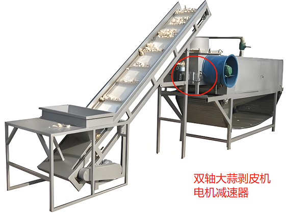 雙軸大蒜剝皮機(jī)電機(jī)減速器 雙軸大蒜剝皮機(jī)電機(jī)減速器